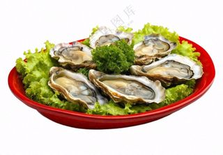 时蔬生蚝海鲜摄影图免抠