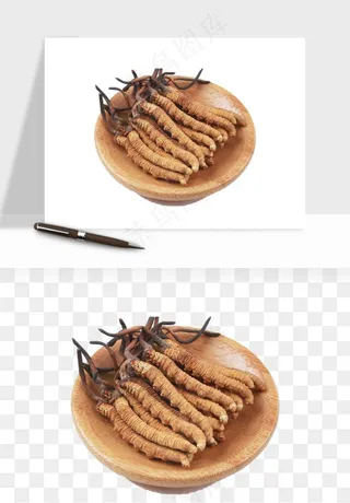 中药养生药材png免抠