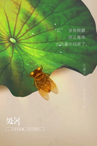 简约处暑节气传统活动海报
