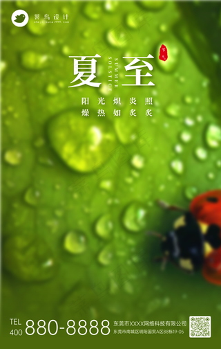 夏至手机海报