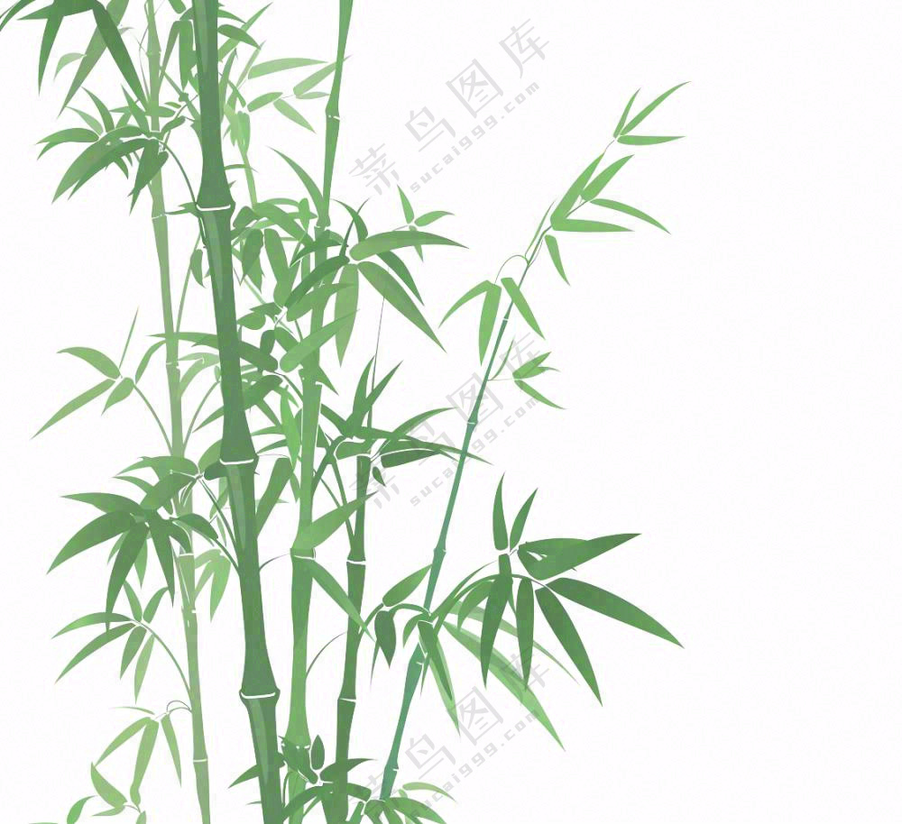 绿竹竹子绿植水墨画插画免抠