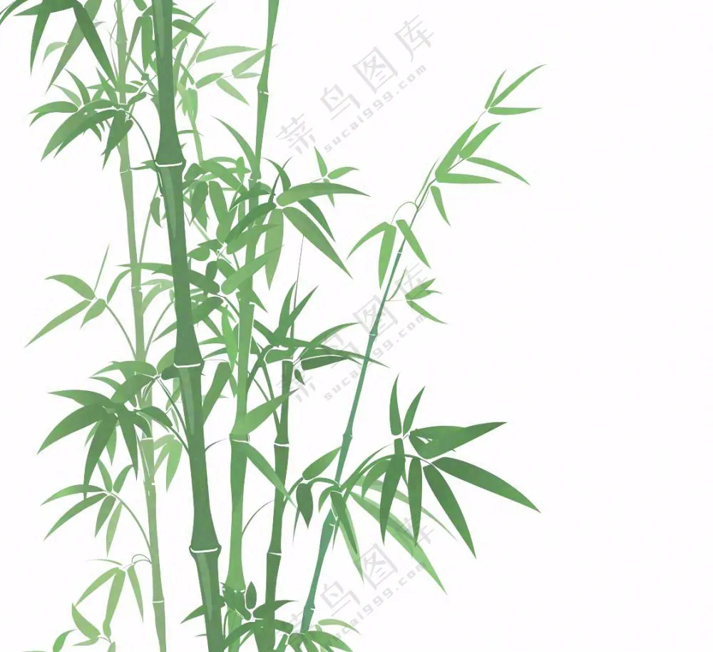 绿竹竹子绿植水墨画插画免抠