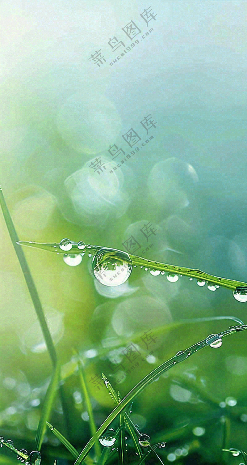 白露节气