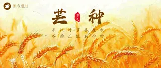 芒种公众号首图