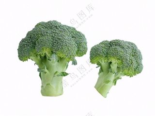 西蓝花蔬菜免抠