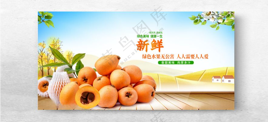 新鲜枇杷水果展板枇杷广告枇杷果海报