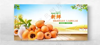 新鲜枇杷水果展板枇杷广告枇杷果海报