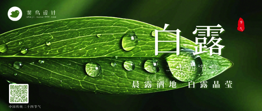白露公众号首图