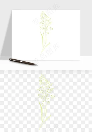 清新手绘植物png免抠