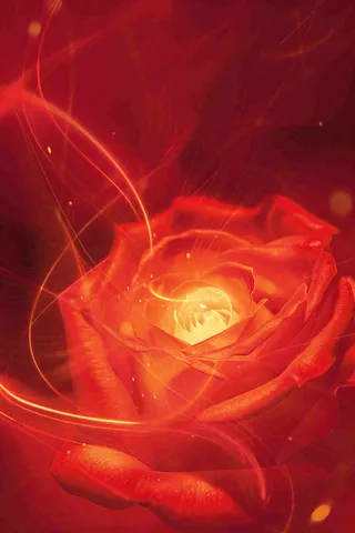 红色玫瑰花鲜花光线插画背景