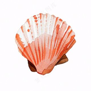 海洋扇贝贝壳卡通插画免抠