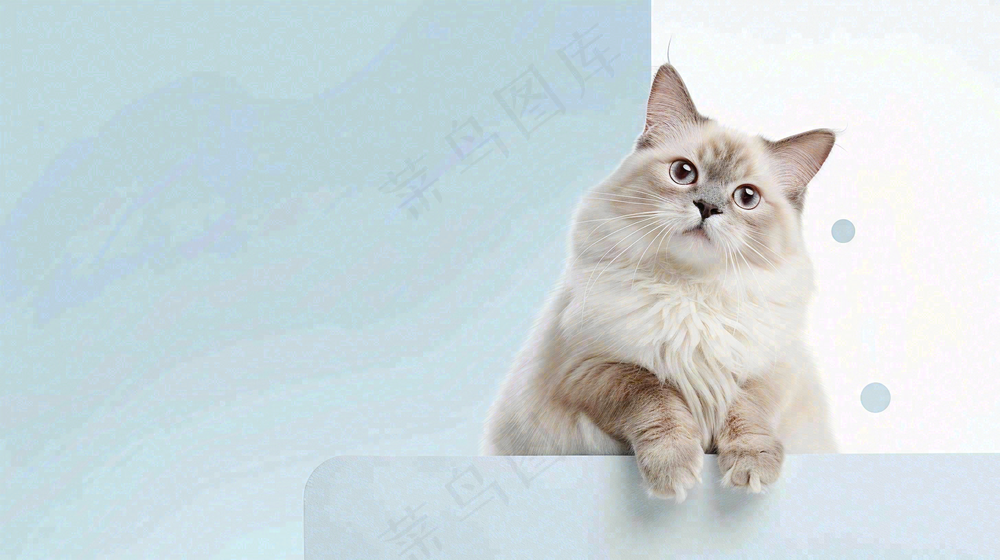 猫狗宠物店宣传卡通插画背景