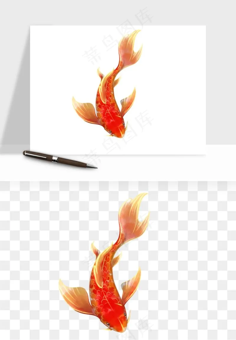 锦鲤鱼手绘水墨png免抠