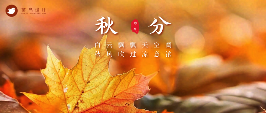 秋分公众号首图