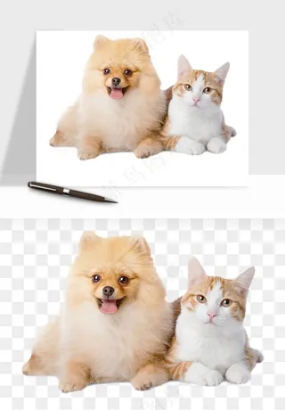猫咪喵星人狗狗宠物元素png免抠