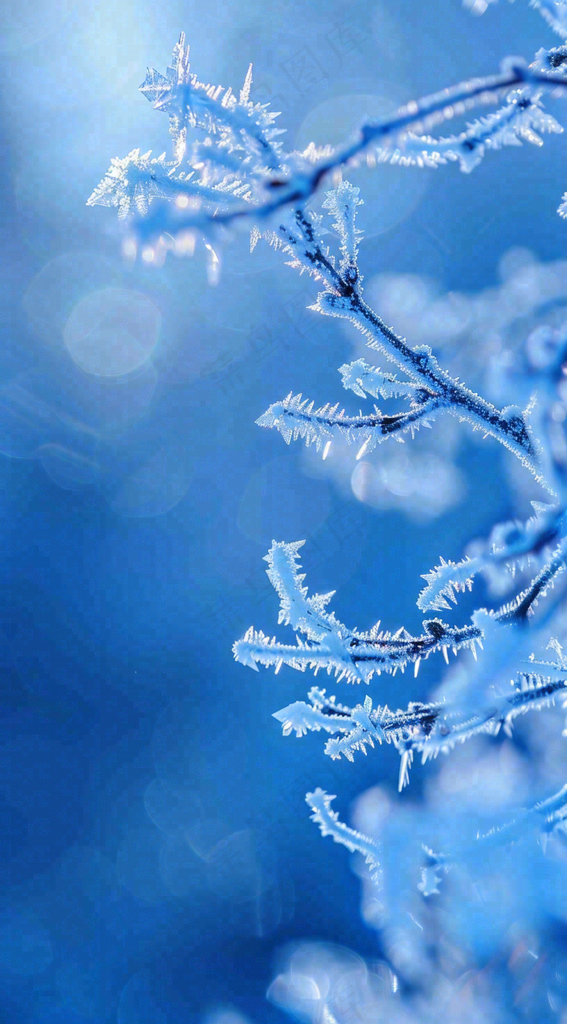 冬天白雪覆盖寒冷唯美雪景大寒插画背景