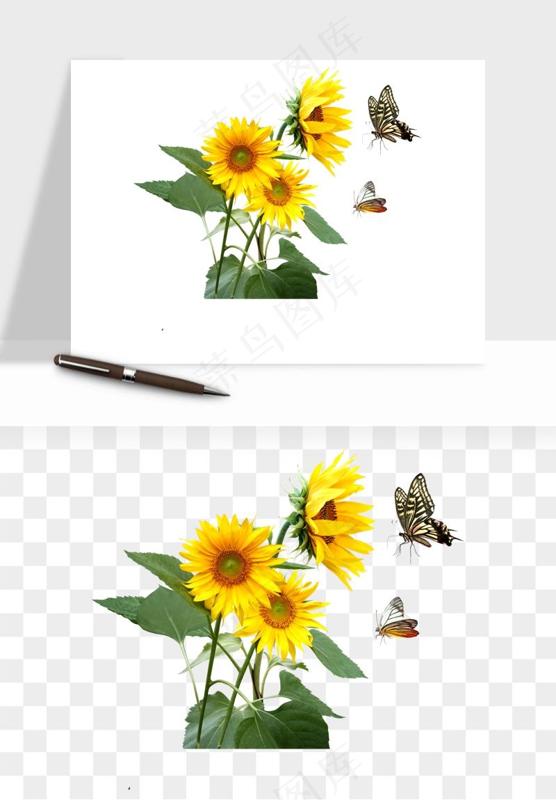 向日葵太阳花卉png免抠