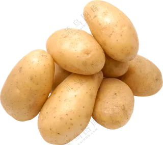 泛着光的新鲜优质土豆免抠图片素材