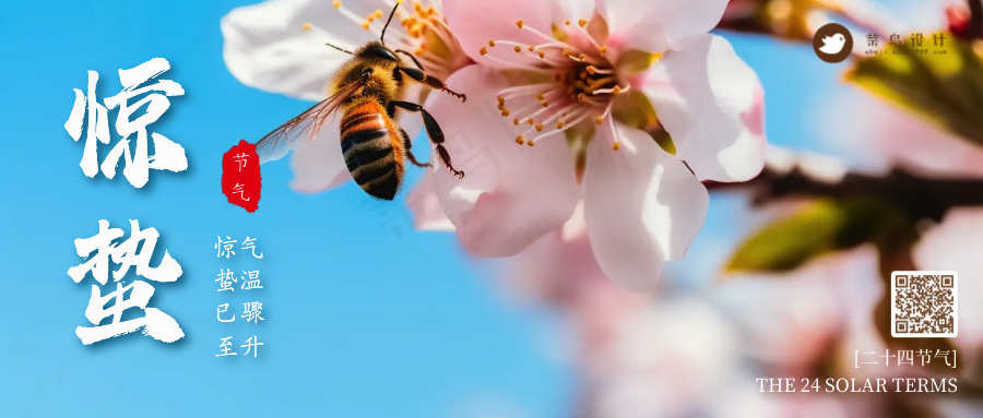 惊蛰公众号首图
