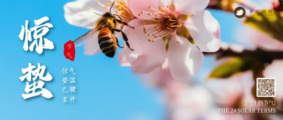 惊蛰公众号首图