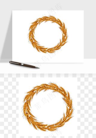 手绘麦穗稻穗麦秆矢量png免抠