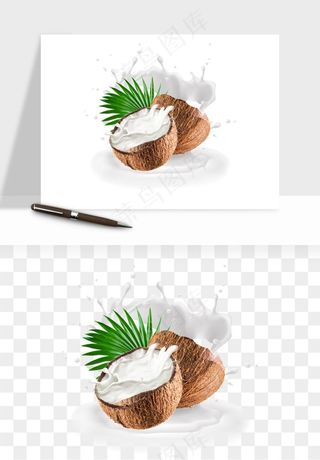 椰子椰果水果png免抠