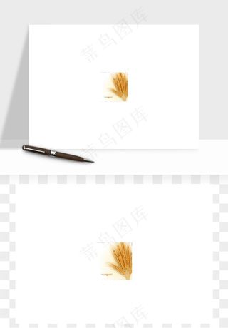 手绘麦穗稻穗麦秆矢量png免抠