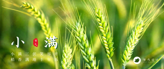 小满公众号首图