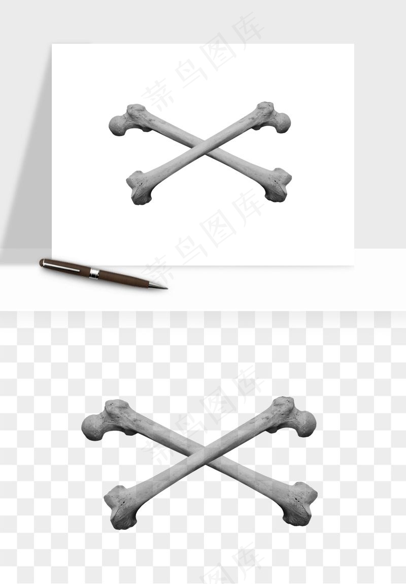 人体骨头png免抠