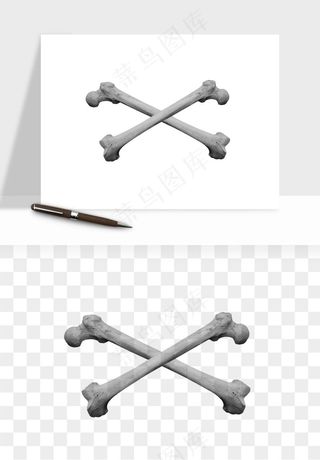 人体骨头png免抠