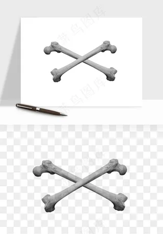 人体骨头png免抠