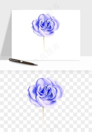 水彩复古植物花卉png免抠