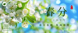 春分公众号首图