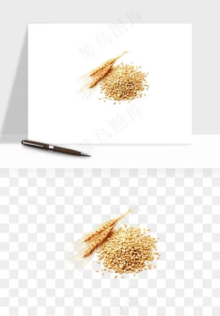 五谷粮食大豆png免抠图