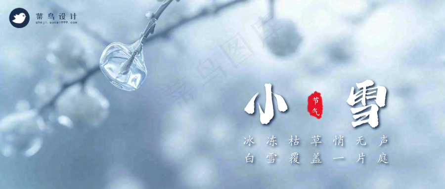 小雪公众号首图