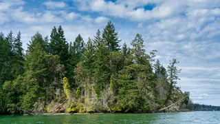 翠绿岛屿的宁静夏日