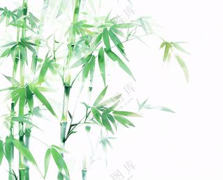绿竹竹子绿植水墨画插画免抠