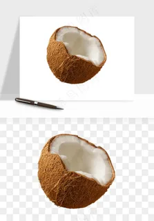 椰子椰果水果png免抠