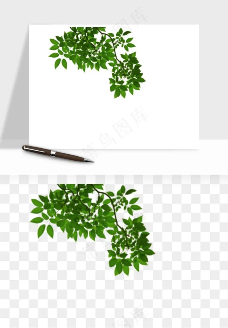 绿叶虚化前景树枝png免抠