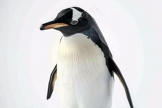 冰雪天地的企鹅寒冷动物摄影图