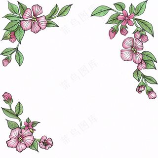 花边边框植物小清新卡通插画免抠