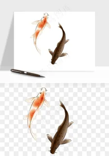 锦鲤鱼手绘水墨png免抠