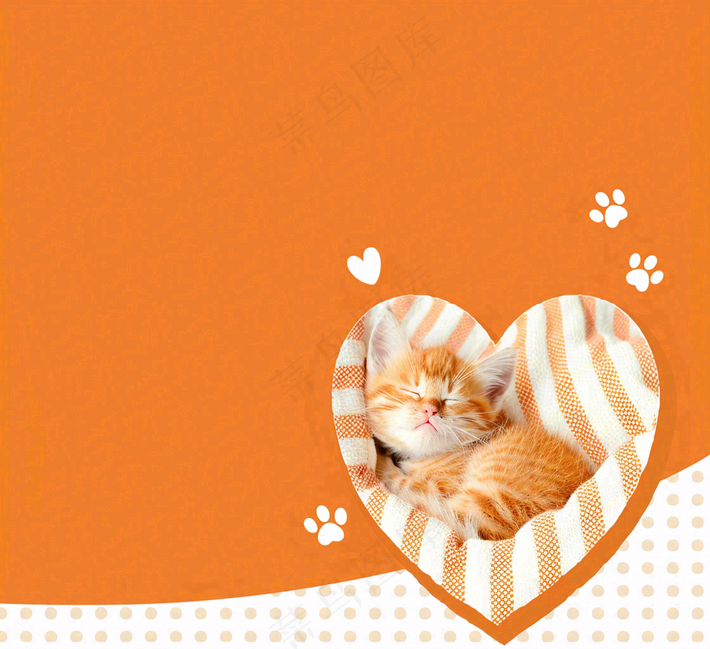 宠物常识宠物攻略猫狗卡通插画背景