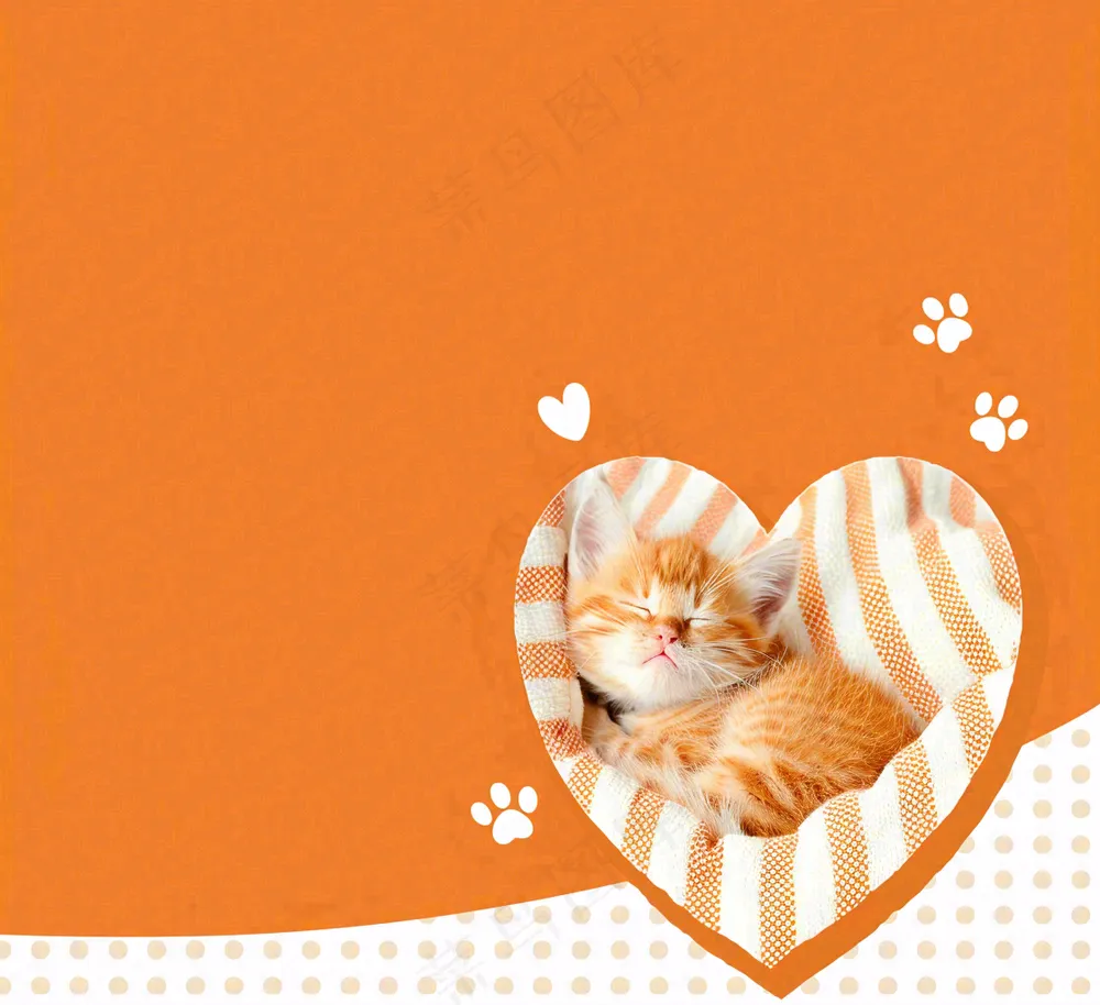 宠物常识宠物攻略猫狗卡通插画背景