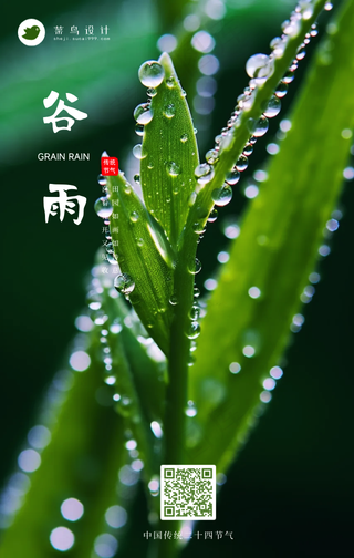 谷雨手机海报