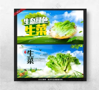生菜蔬菜超市广告蔬菜图片海报