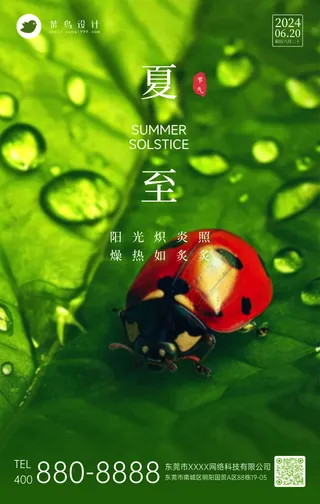 夏至手机海报
