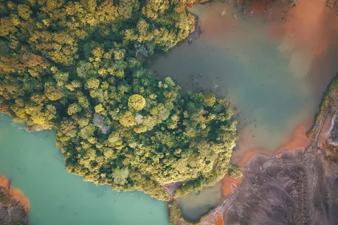 绿意盎然航拍图 绿意盎然航拍图