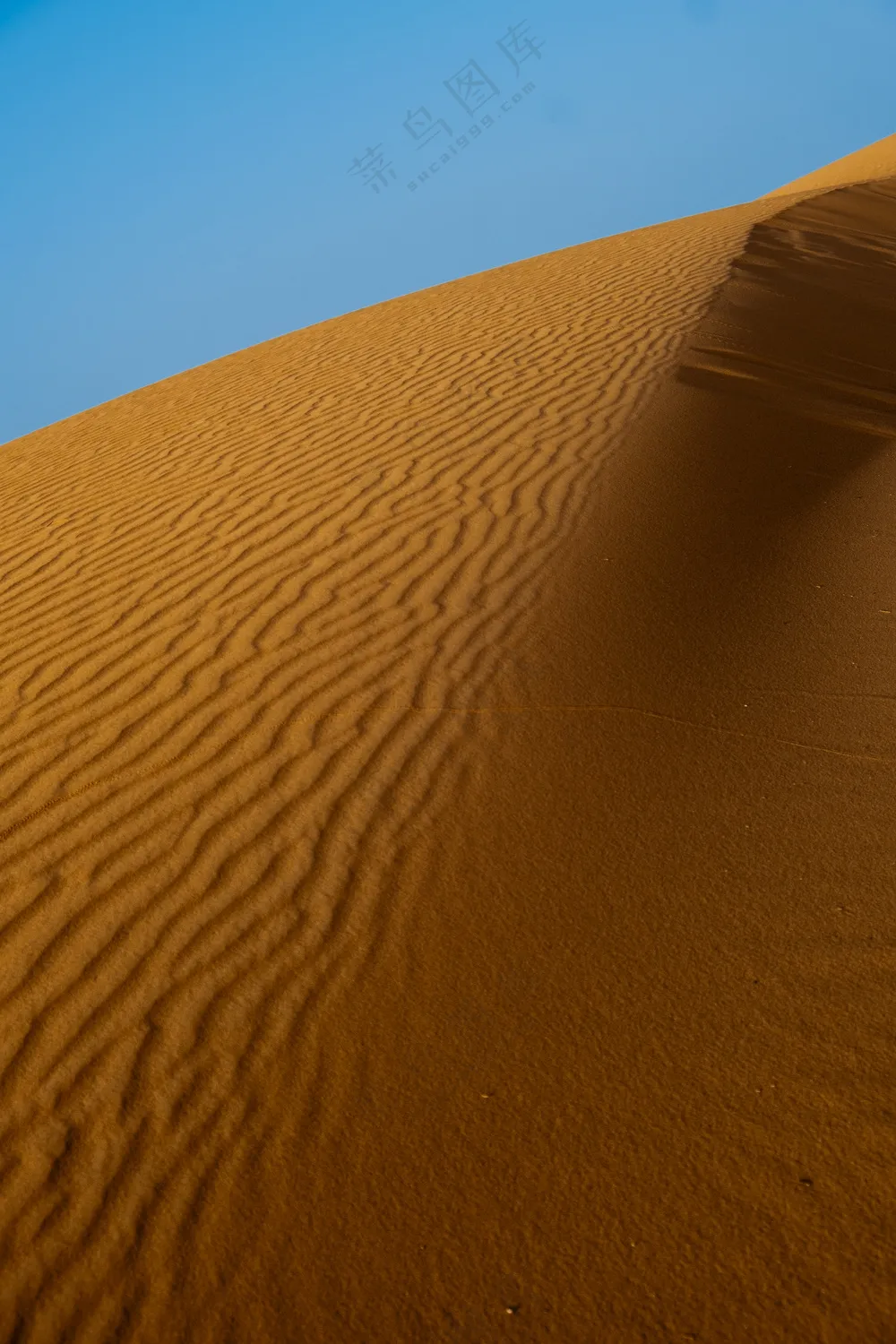 沙漠沙丘风景