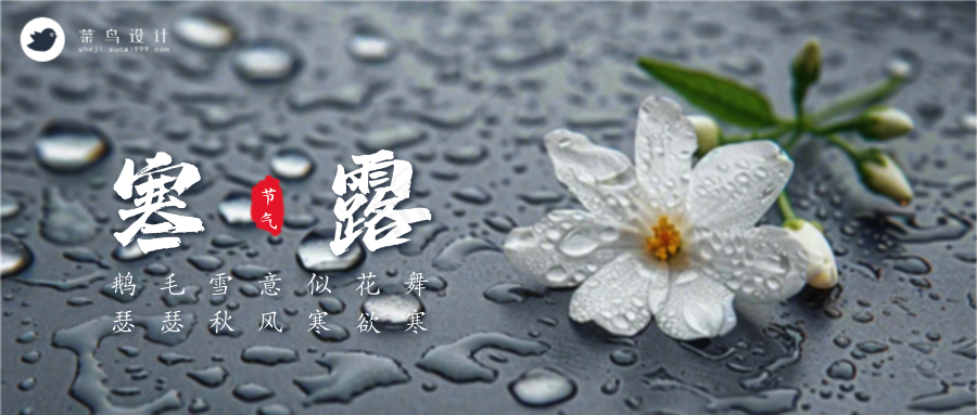 寒露公众号首图